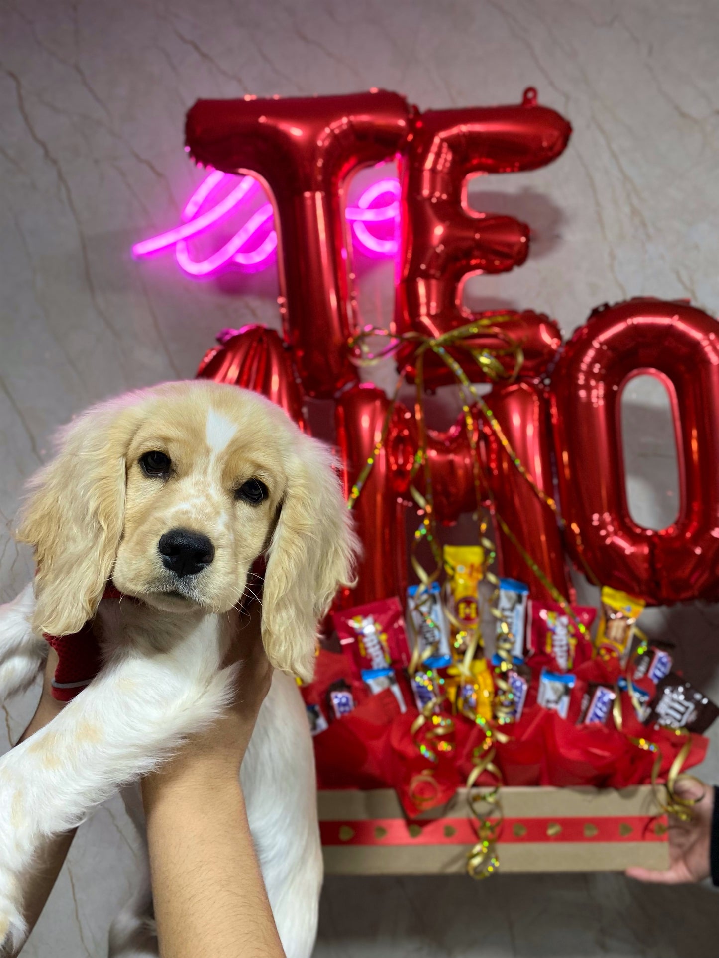 I love you infinitely