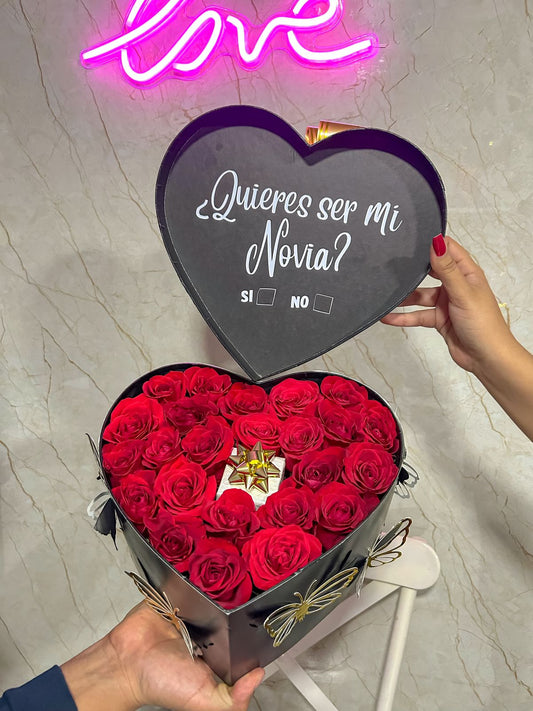 Declarando Amor