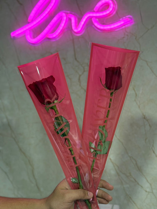 Rosa individual